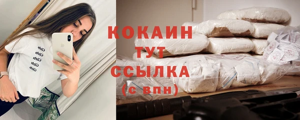 гашик Майский