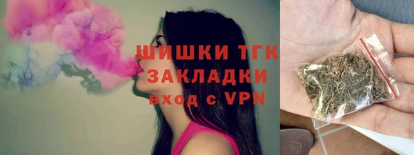гашик Майский