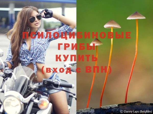 кокаин премиум Магас