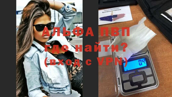 гашик Майский