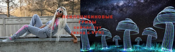 гашик Майский