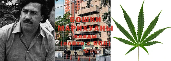 гашик Майский