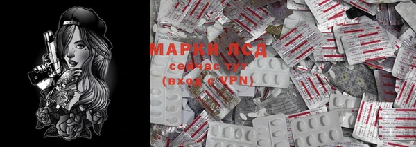 гашик Майский